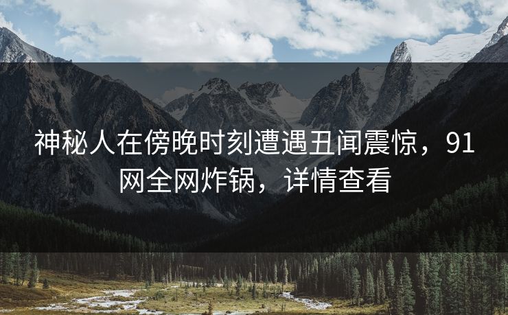 神秘人在傍晚时刻遭遇丑闻震惊,91网全网炸锅,详情查看