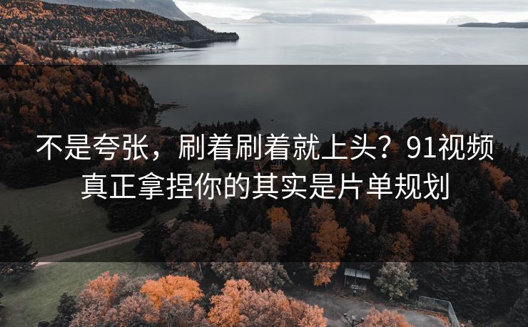 不是夸张，刷着刷着就上头？91视频真正拿捏你的其实是片单规划