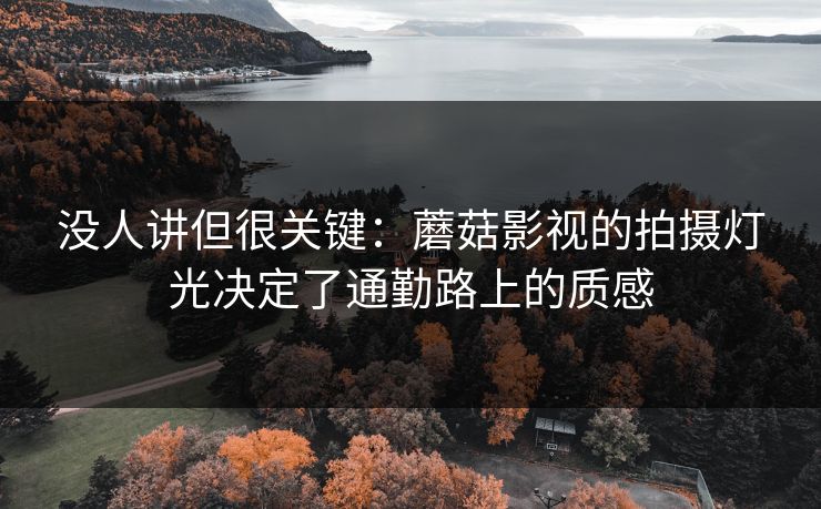 没人讲但很关键：蘑菇影视的拍摄灯光决定了通勤路上的质感