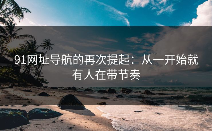 91网址导航的再次提起：从一开始就有人在带节奏
